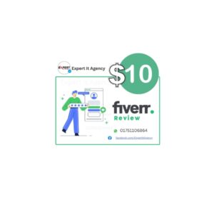 Fiverr Gig Rank Review 10$
